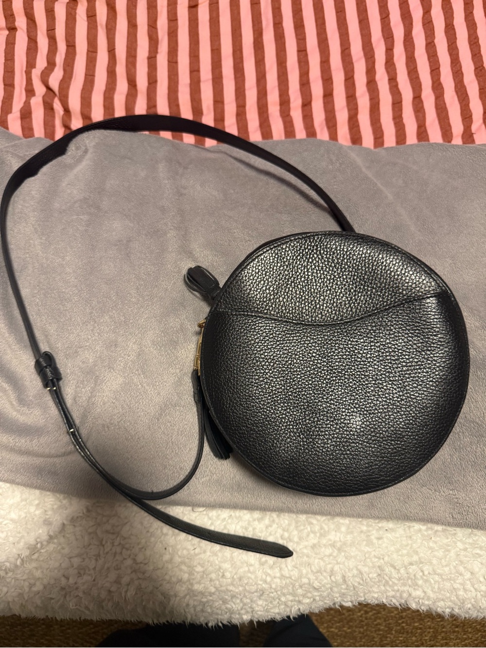 Cuyana Black Leather Round Crossbody Bag